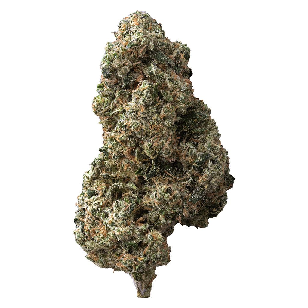 The Loud Plug Sticky Bunz 7g Dried Flower