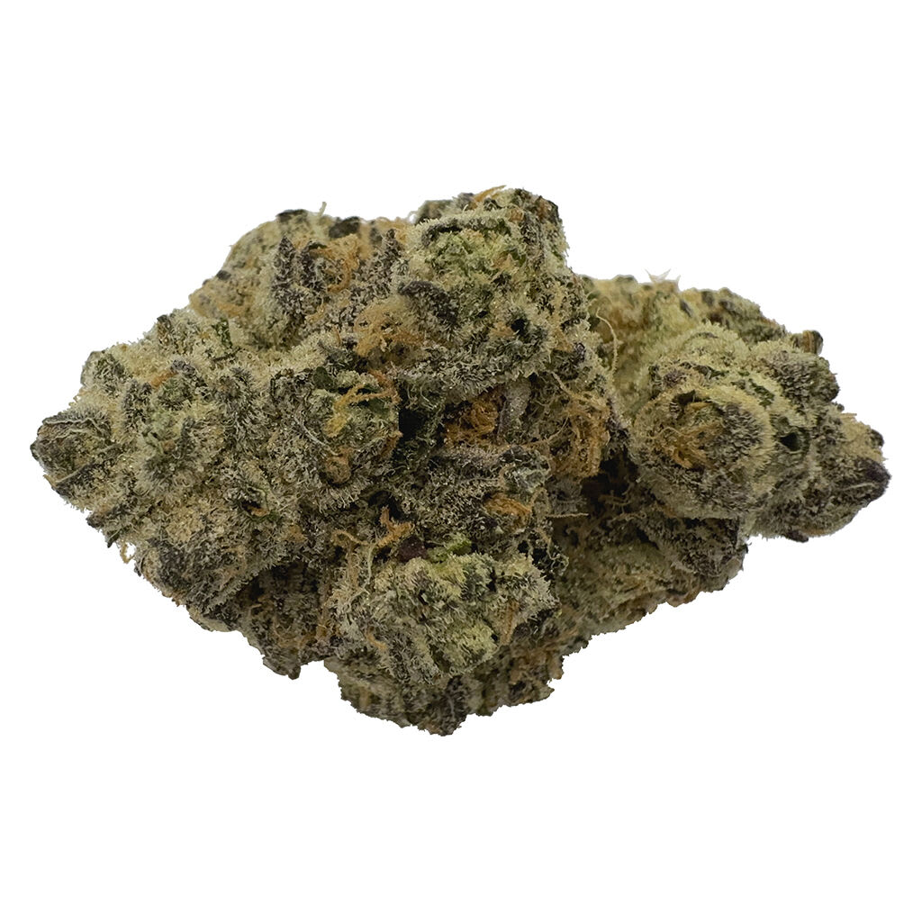 The Florist Rare Cuts 7g Dried Flower