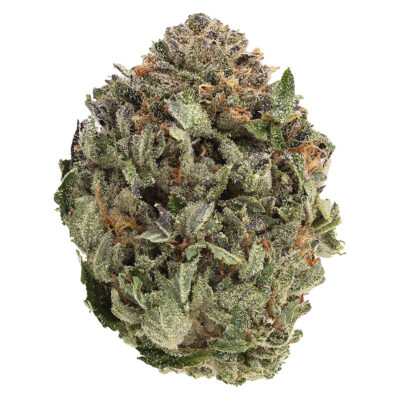 1964 Organic Comatose Dried Flower - 1964 Organic Comatose 1g Dried Flower