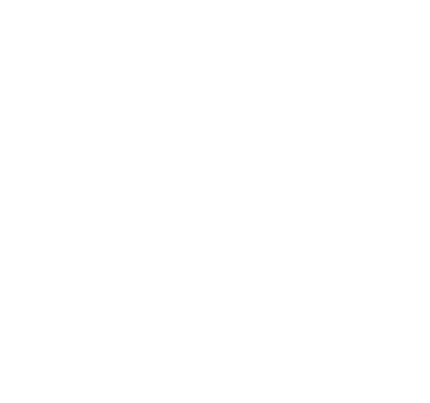 Seeds