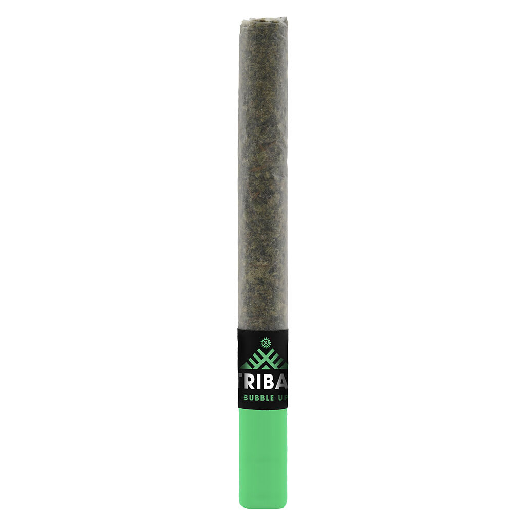 Tribal Bubble Up Ceramic Tip 1x1g Pre-Roll
