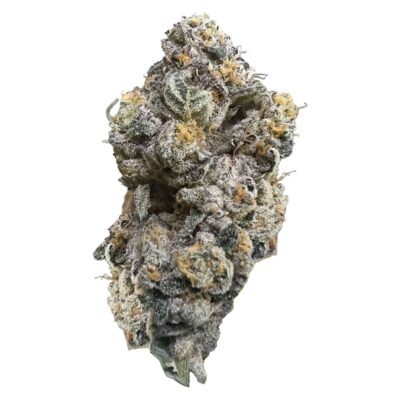 HighXotic Royal Dive#3: Hindu Glue Dried Flower - HighXotic Royal Dive#3: Hindu Glue 14g Dried Flower