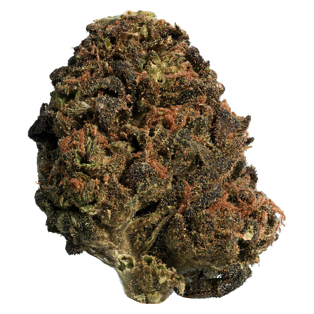 Big Steal BC Organic Sungrown Mango Sapphire 28g Dried Flower