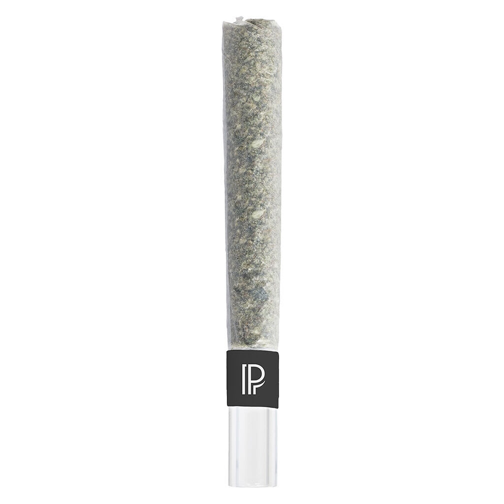 Pistol and Paris Pink Goo 1x1g Infused Pre-Roll