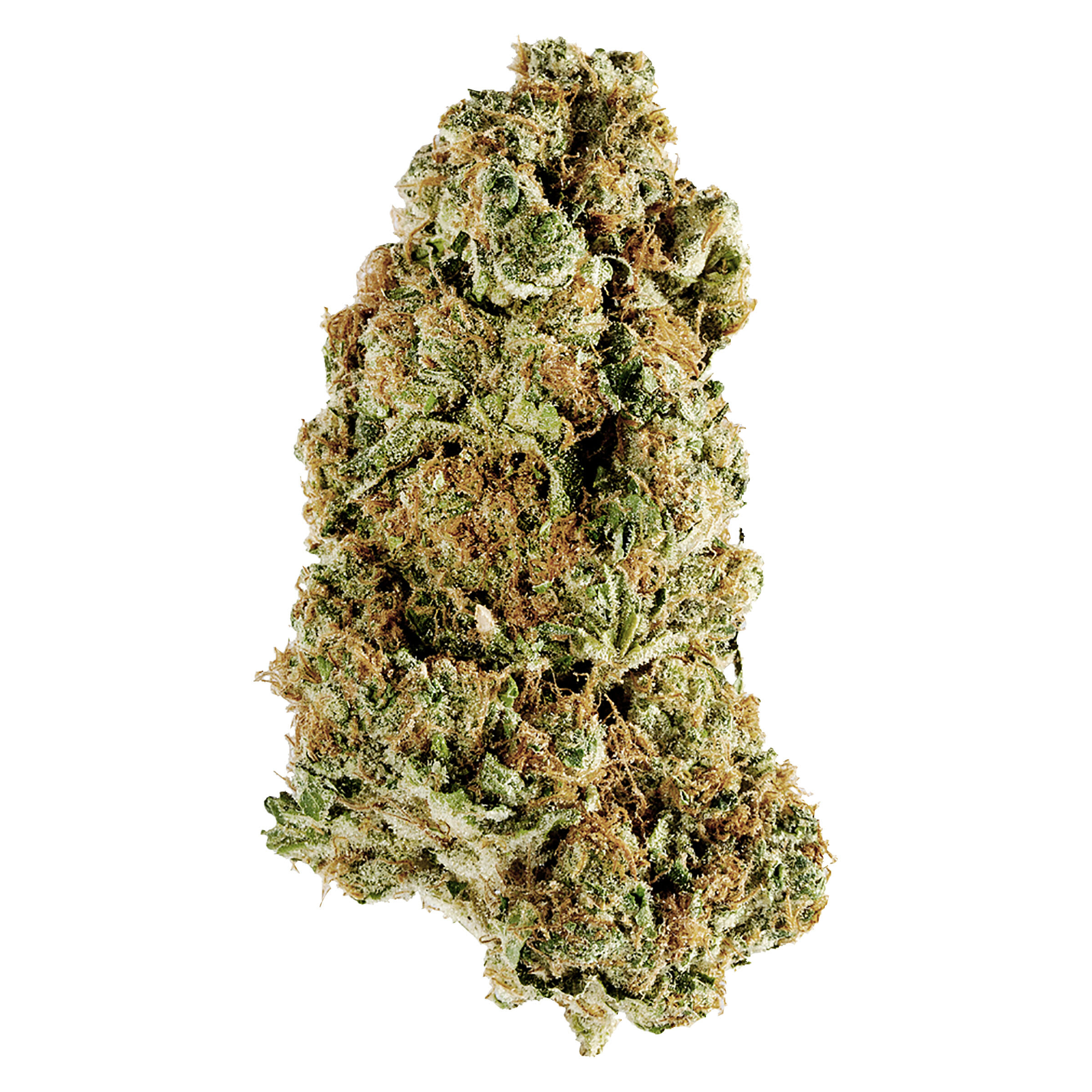 Redecan Animal Rntz Dried Flower - Image 3