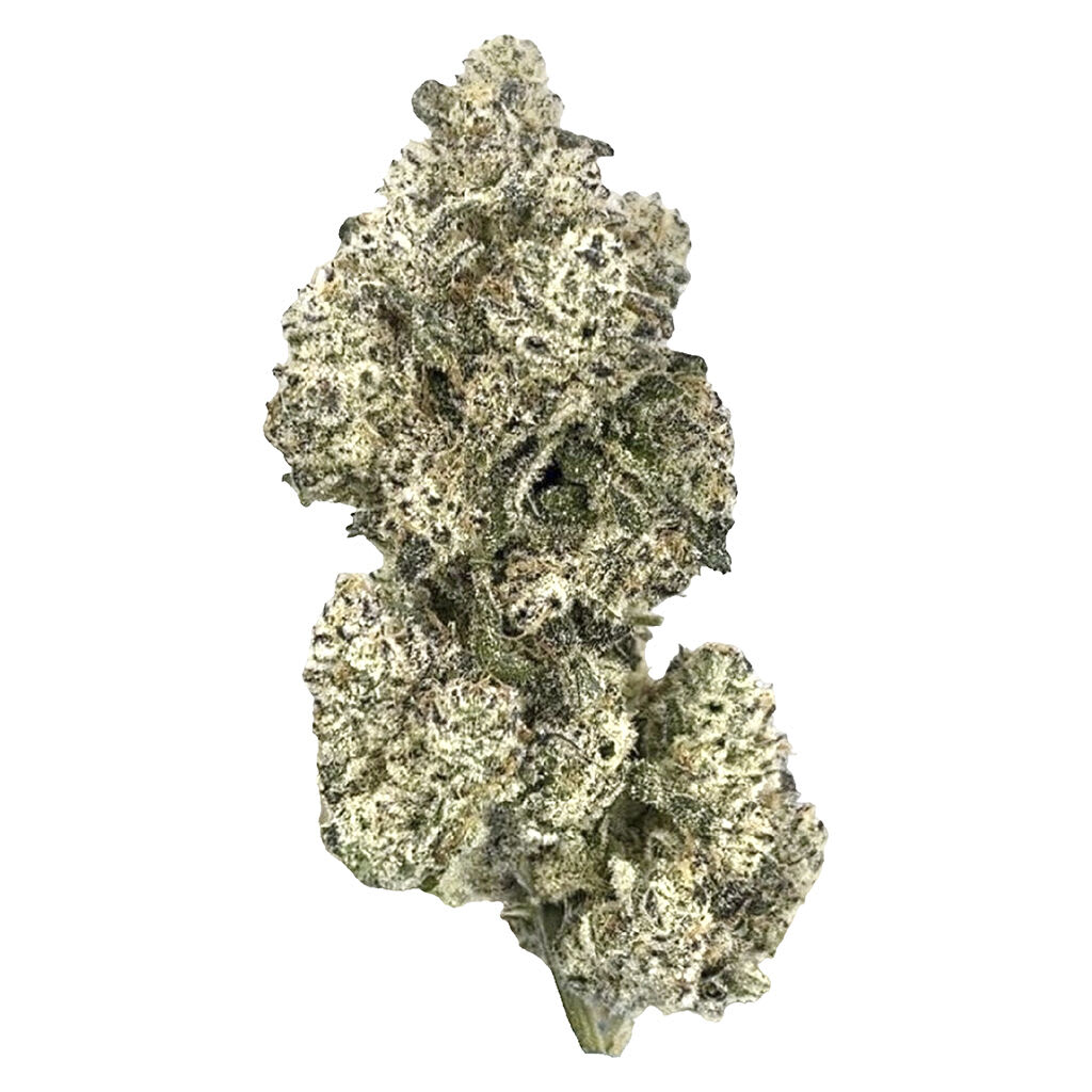 HighXotic Royal Dive #5: Purple Zombie 14g Dried Flower