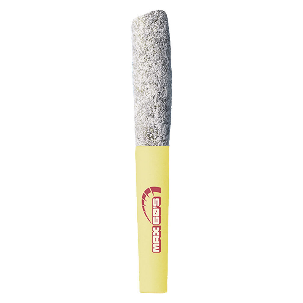 Chillybilly Max 60's - Howler 3x0.45g Infused Pre-Rolls