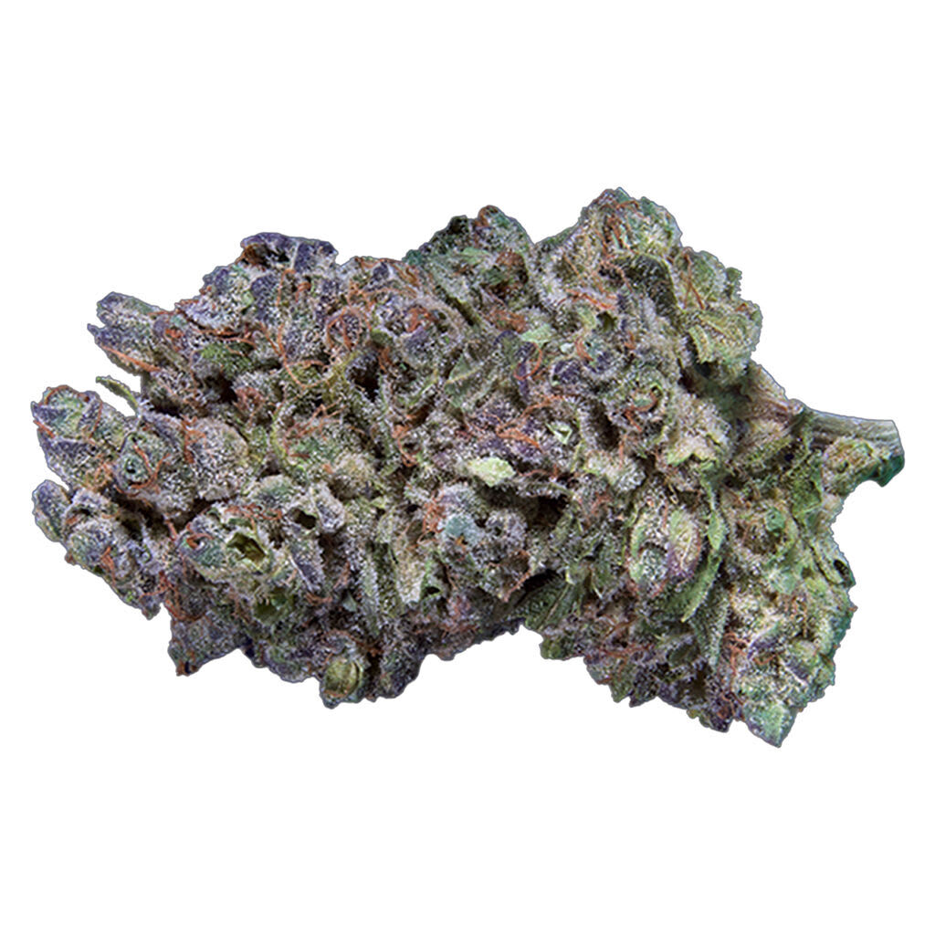 Qwest Platinum Gas 7g Dried Flower