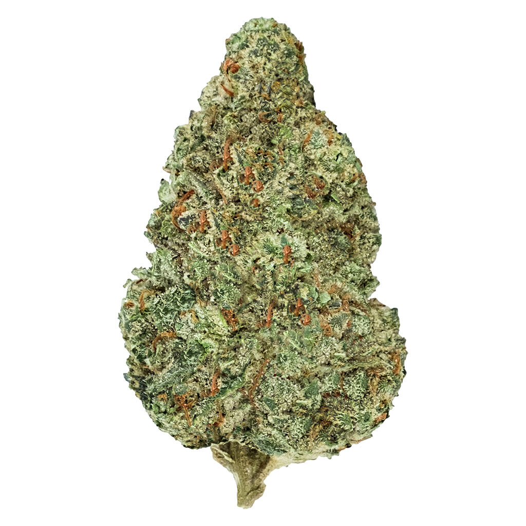 Back Forty Chemzilla 7g Dried Flower