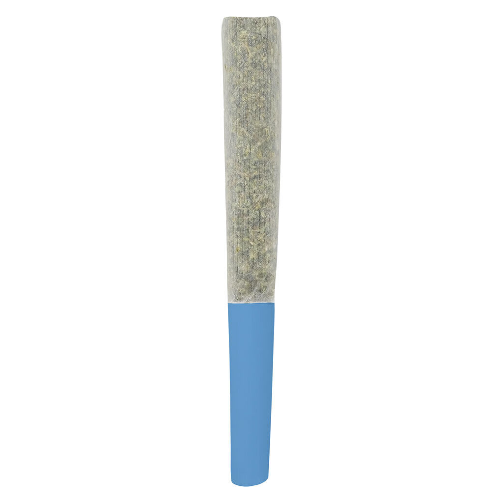 SlurpZ Blueberry Double 3x0.5g Infused Pre-Rolls