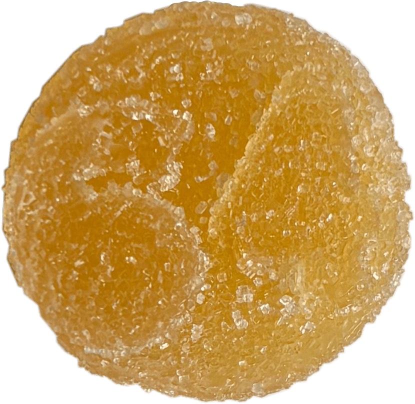 1964 JNGL JCE Live Rosin Gummies 10x1 Pack