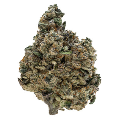 Tribal Gran Turismo 3.5g Dried Flower