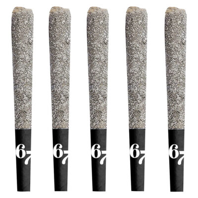 Sixty Seven Sins 67 Sindicate 5x0.5g Infused Pre-Rolls