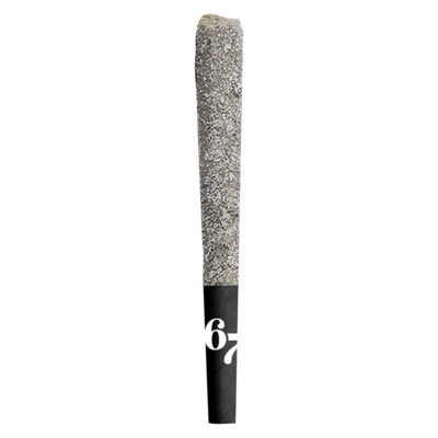Sixty Seven Sins 67 Sindicate 1x1g Infused Pre-Roll