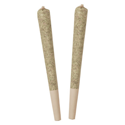 Standard Issue Bing Cherry 2x0.5g Infused Pre-Rolls