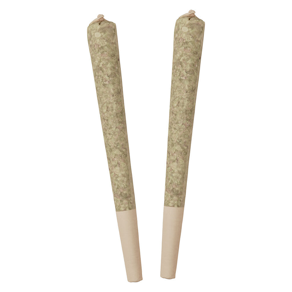 Standard Issue Bing Cherry 2x0.5g Infused Pre-Rolls