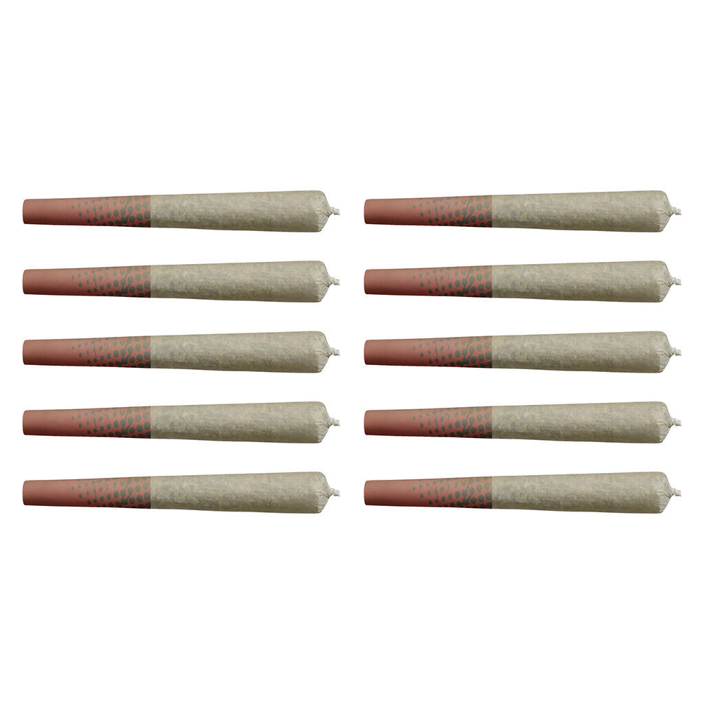 Big Bag O' Buds UK Cheddar Cheese 10x0.5g Pre-Rolls